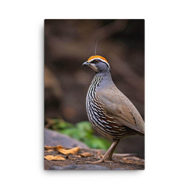 Quail Canvas - PosterfyAI.com
