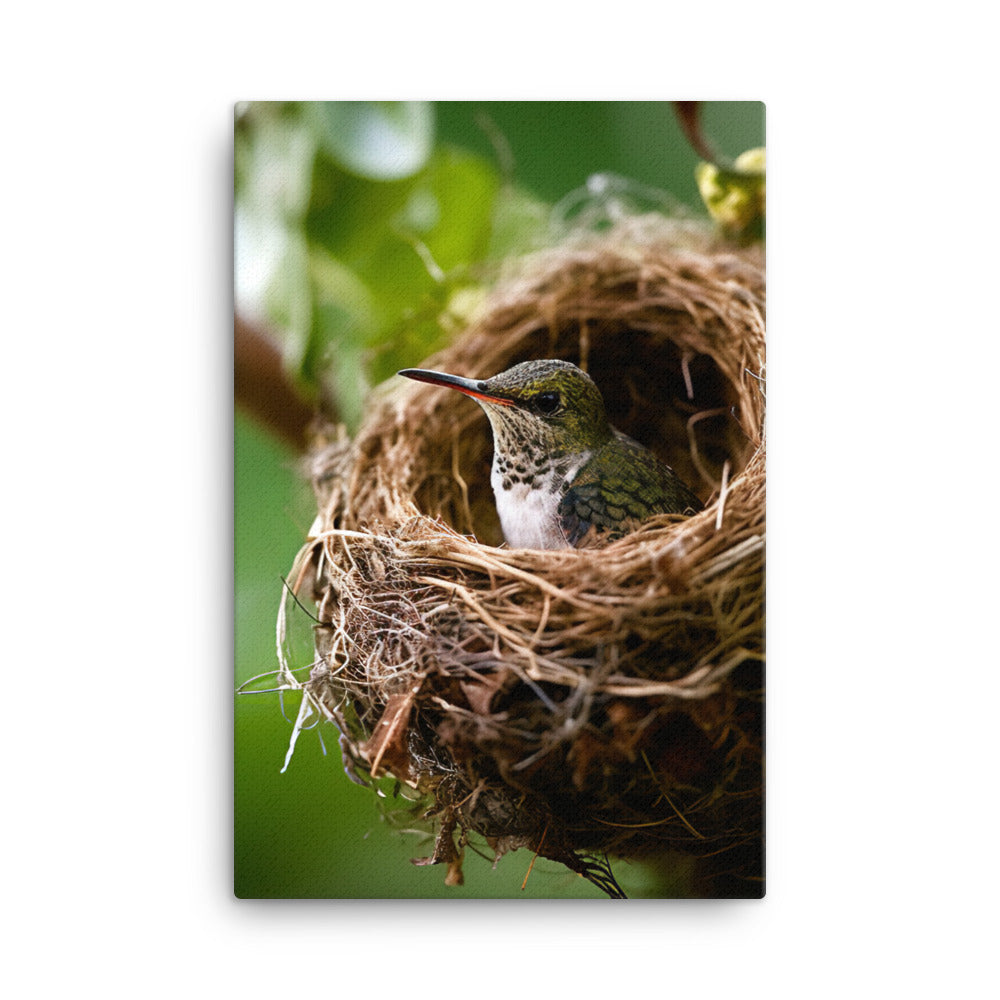 Hummingbird Canvas - PosterfyAI.com
