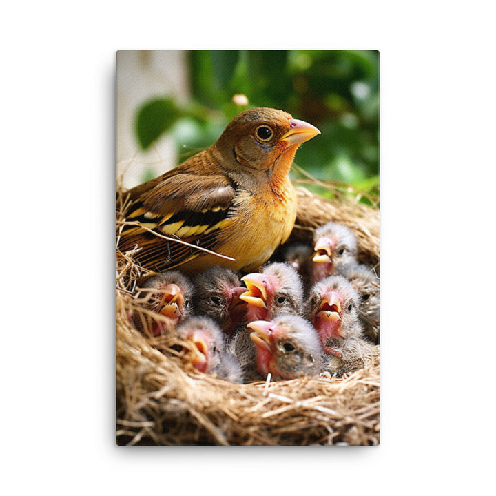 Finch Canvas - PosterfyAI.com