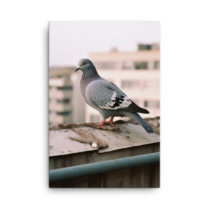 Pigeon Canvas - PosterfyAI.com