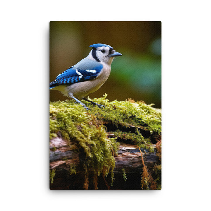 Jay Canvas - PosterfyAI.com