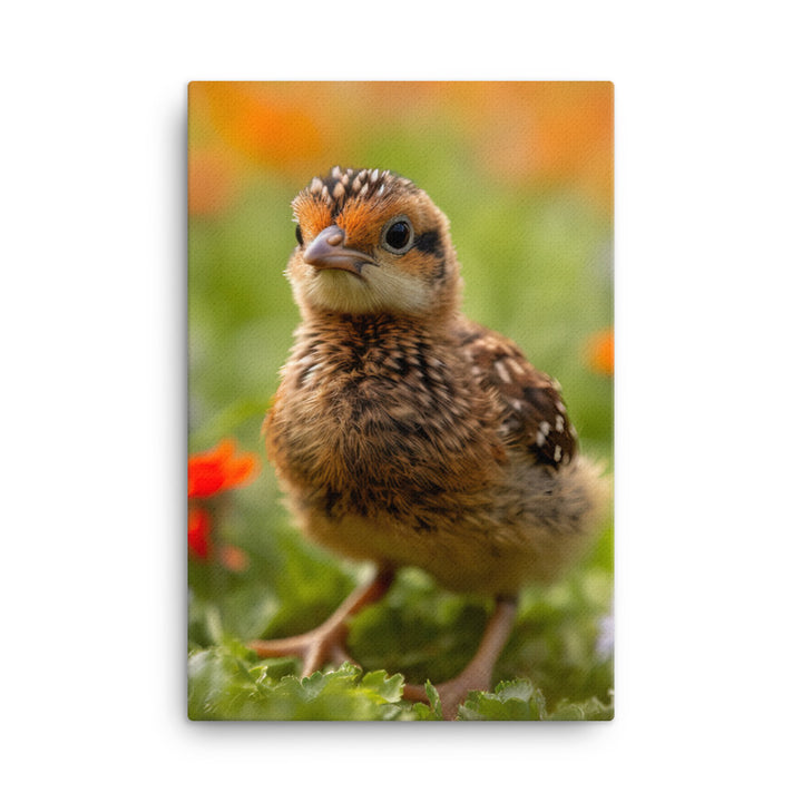 Chick Canvas - PosterfyAI.com