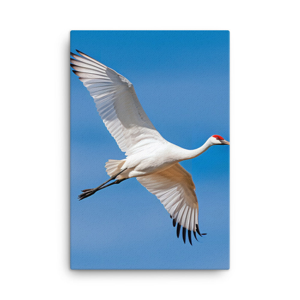 Crane Canvas - PosterfyAI.com
