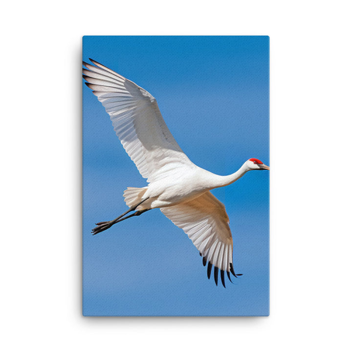 Crane Canvas - PosterfyAI.com