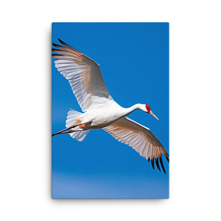 Crane Canvas - PosterfyAI.com