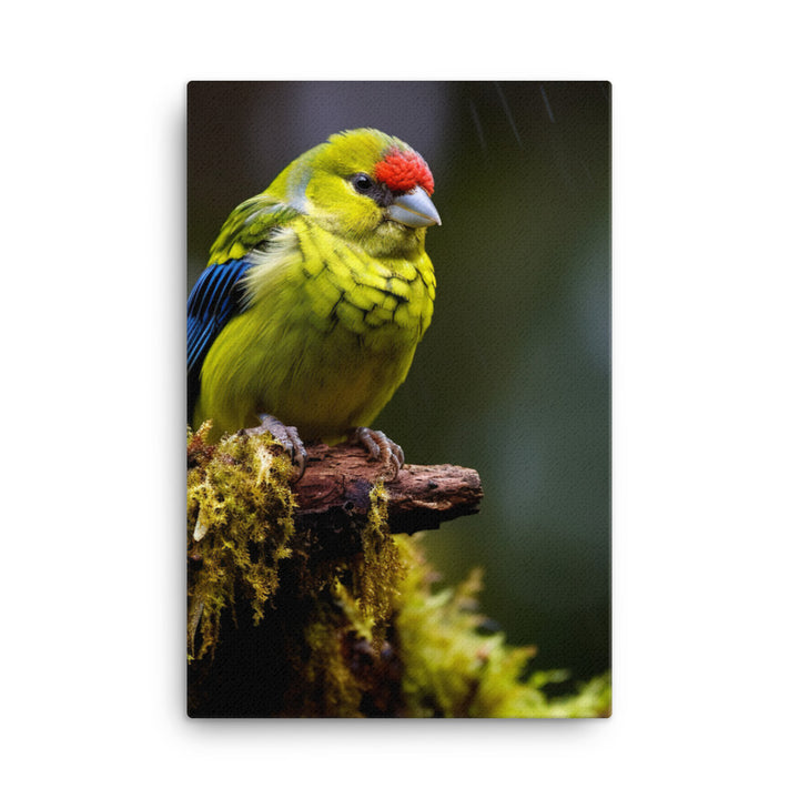Rosella Canvas - PosterfyAI.com