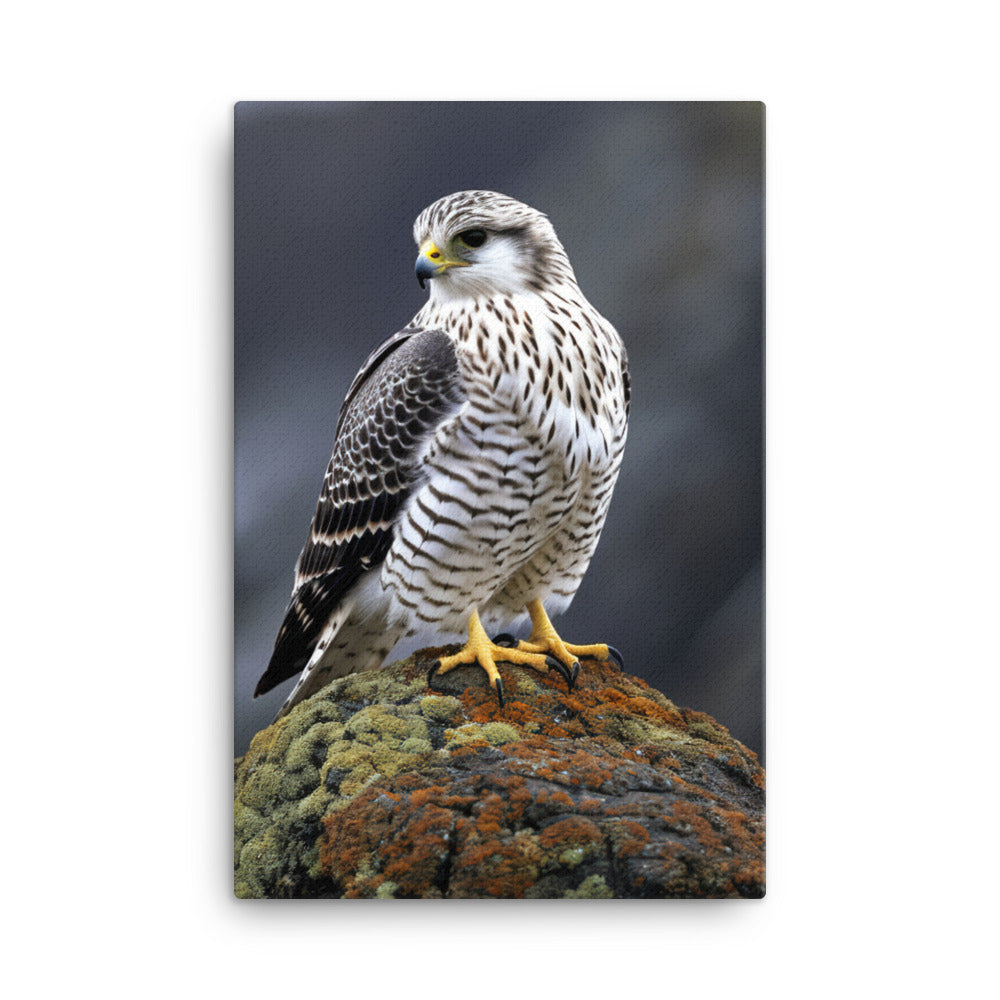 Gyrfalcon Canvas - PosterfyAI.com