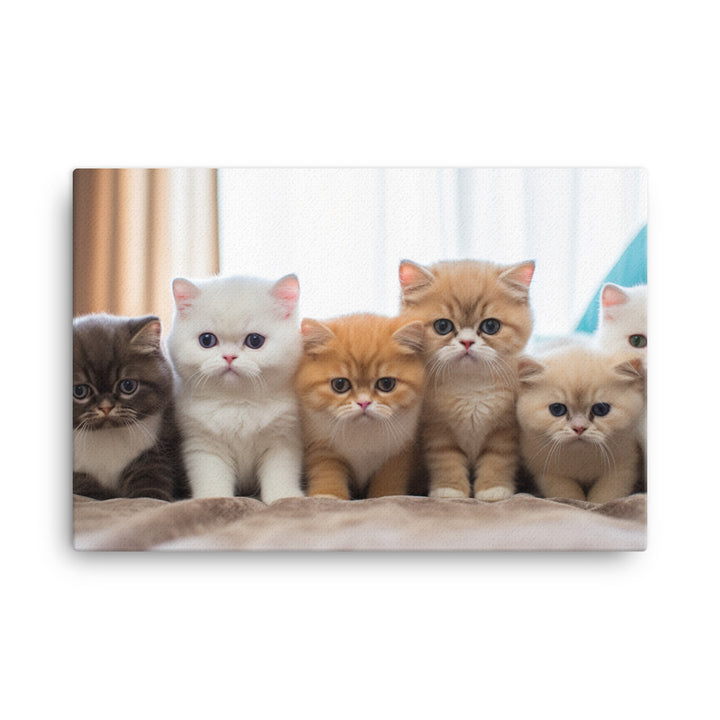 Exotic Shorthair Canvas - PosterfyAI.com