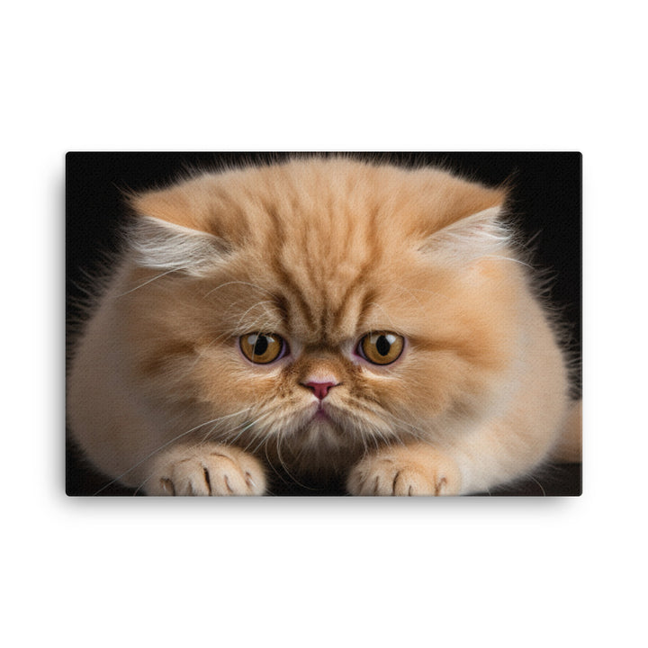 Exotic Shorthair Canvas - PosterfyAI.com