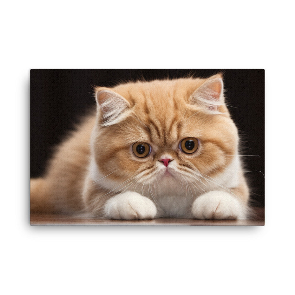 Exotic Shorthair Canvas - PosterfyAI.com