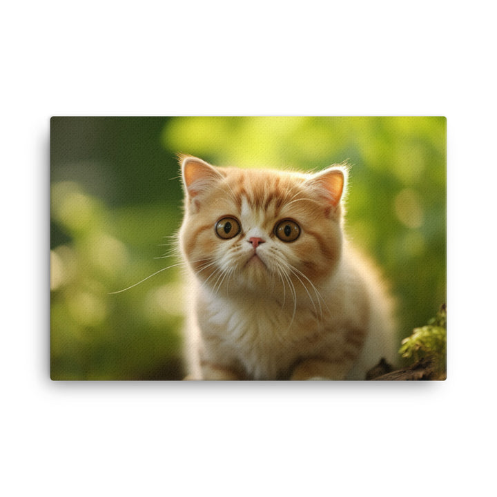 Exotic Shorthair Canvas - PosterfyAI.com
