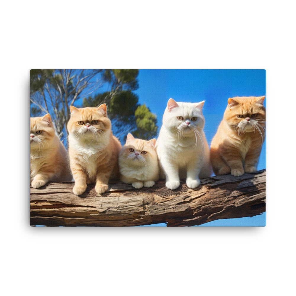 Exotic Shorthair Canvas - PosterfyAI.com