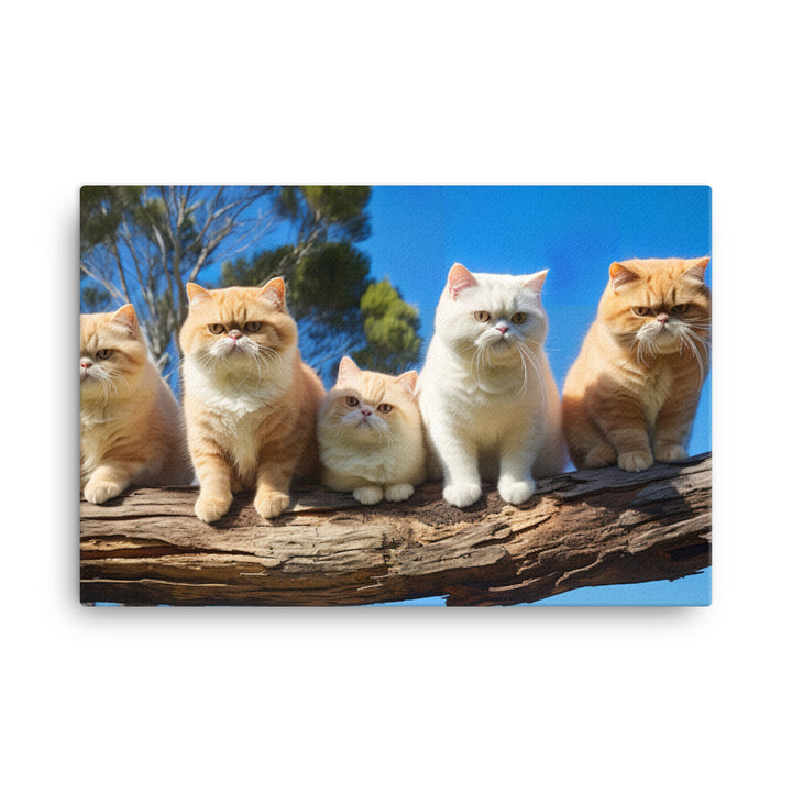 Exotic Shorthair Canvas - PosterfyAI.com