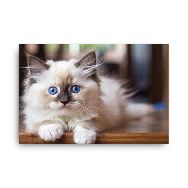 Ragdoll Canvas - PosterfyAI.com