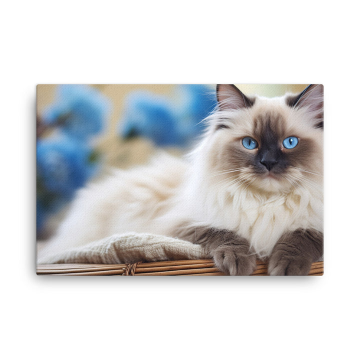 Ragdoll Canvas - PosterfyAI.com