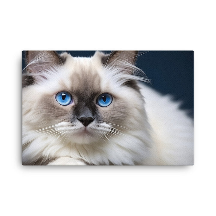 Ragdoll Canvas - PosterfyAI.com