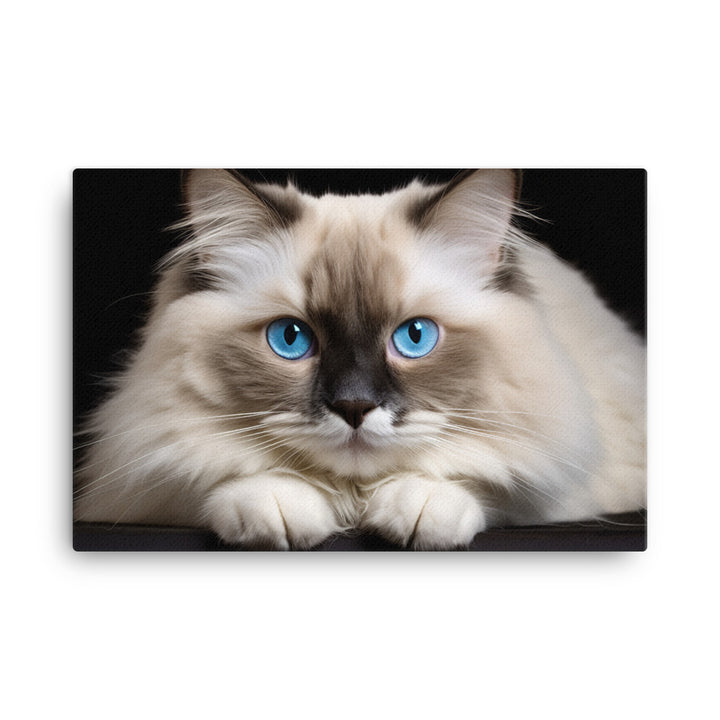 Ragdoll Canvas - PosterfyAI.com