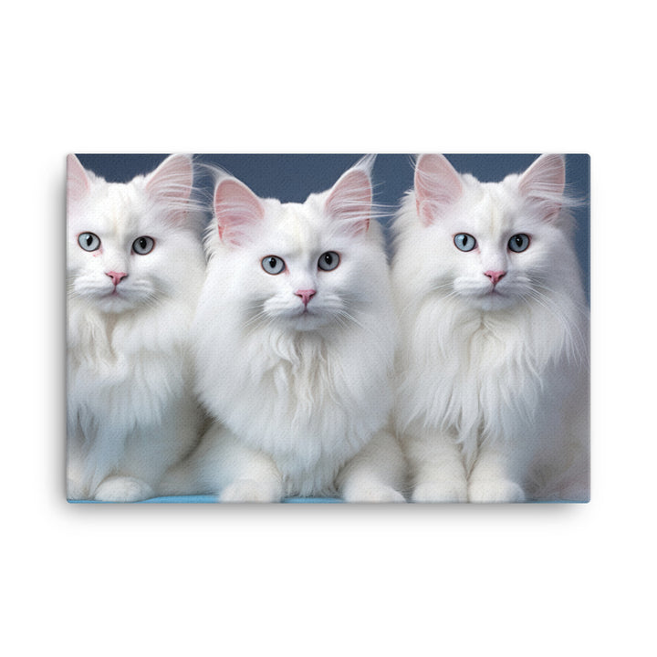Turkish Angora Canvas - PosterfyAI.com