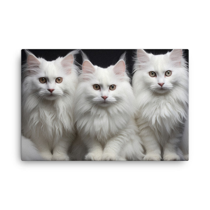 Turkish Angora Canvas - PosterfyAI.com