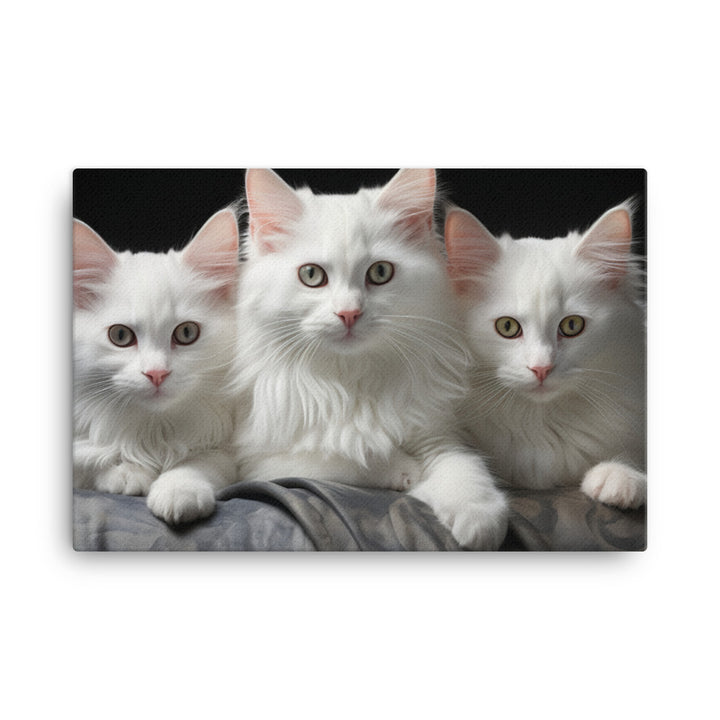 Turkish Angora Canvas - PosterfyAI.com