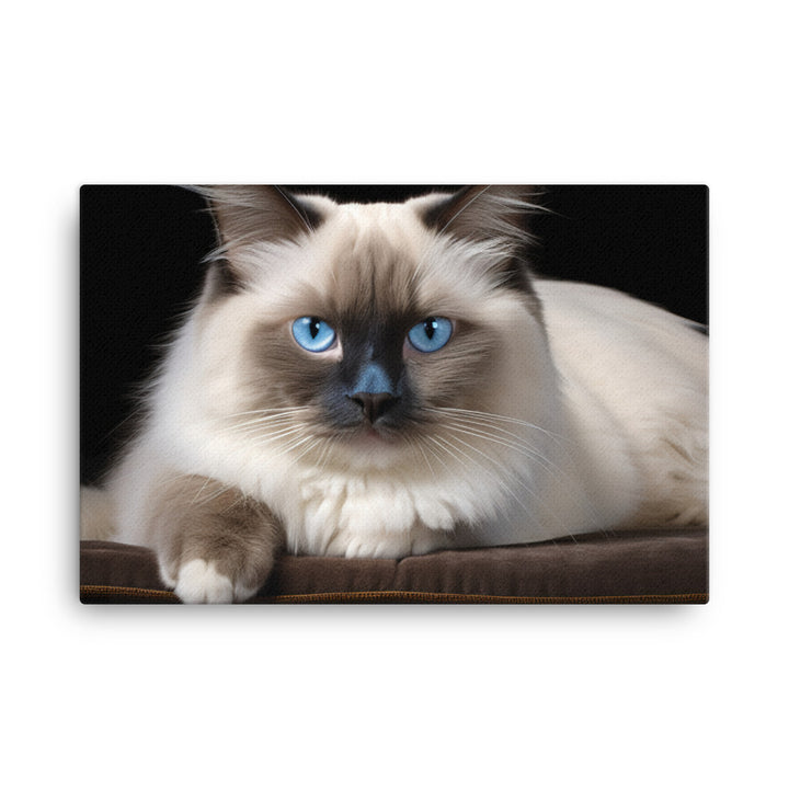 Birman Canvas - PosterfyAI.com