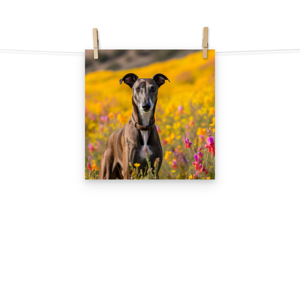 Greyhound Photo paper poster - PosterfyAI.com