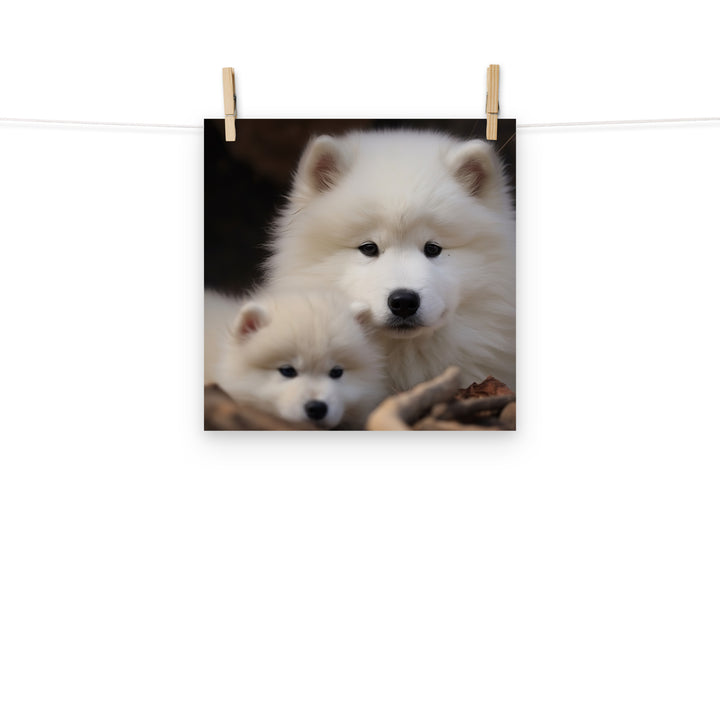 Samoyed Photo paper poster - PosterfyAI.com