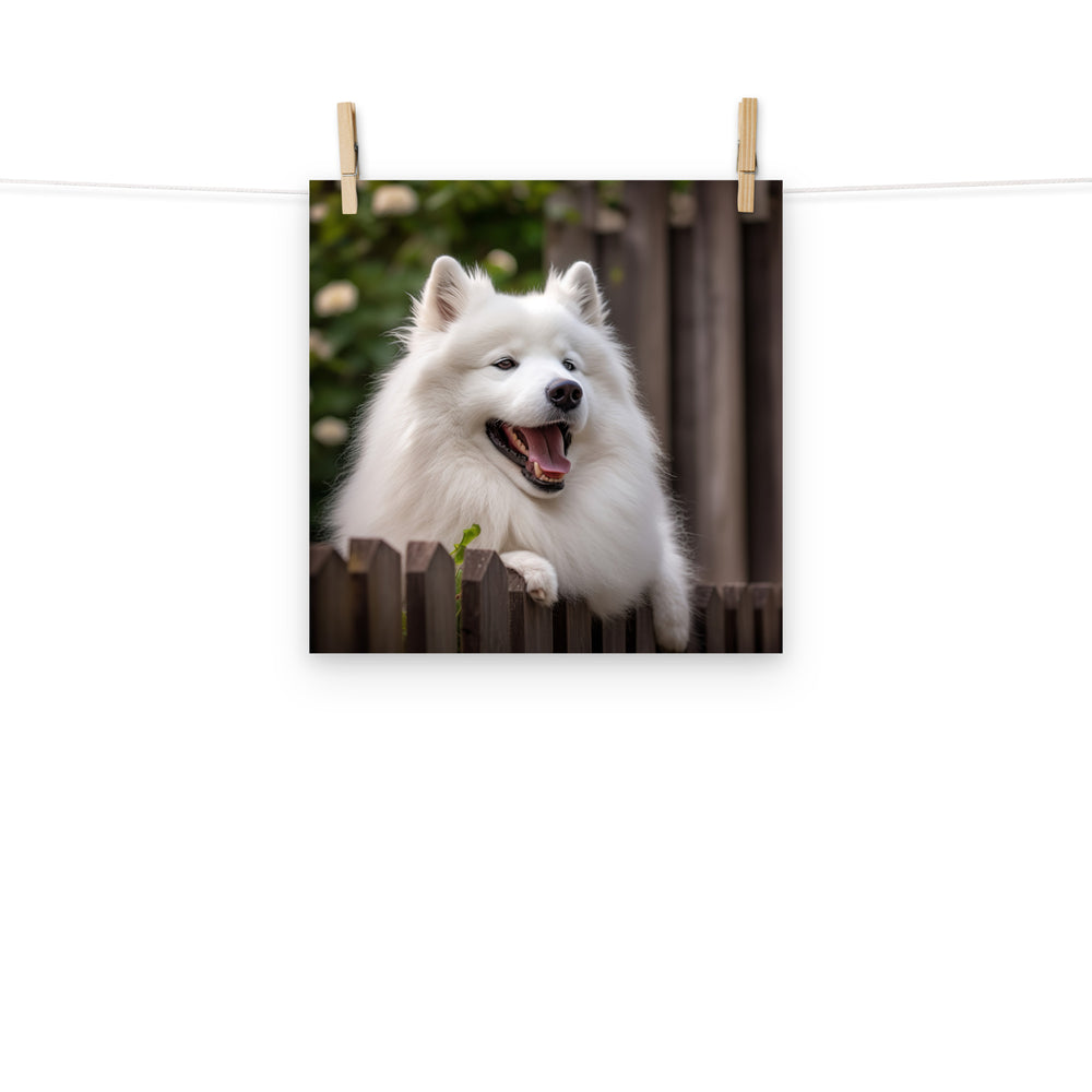 Samoyed Photo paper poster - PosterfyAI.com
