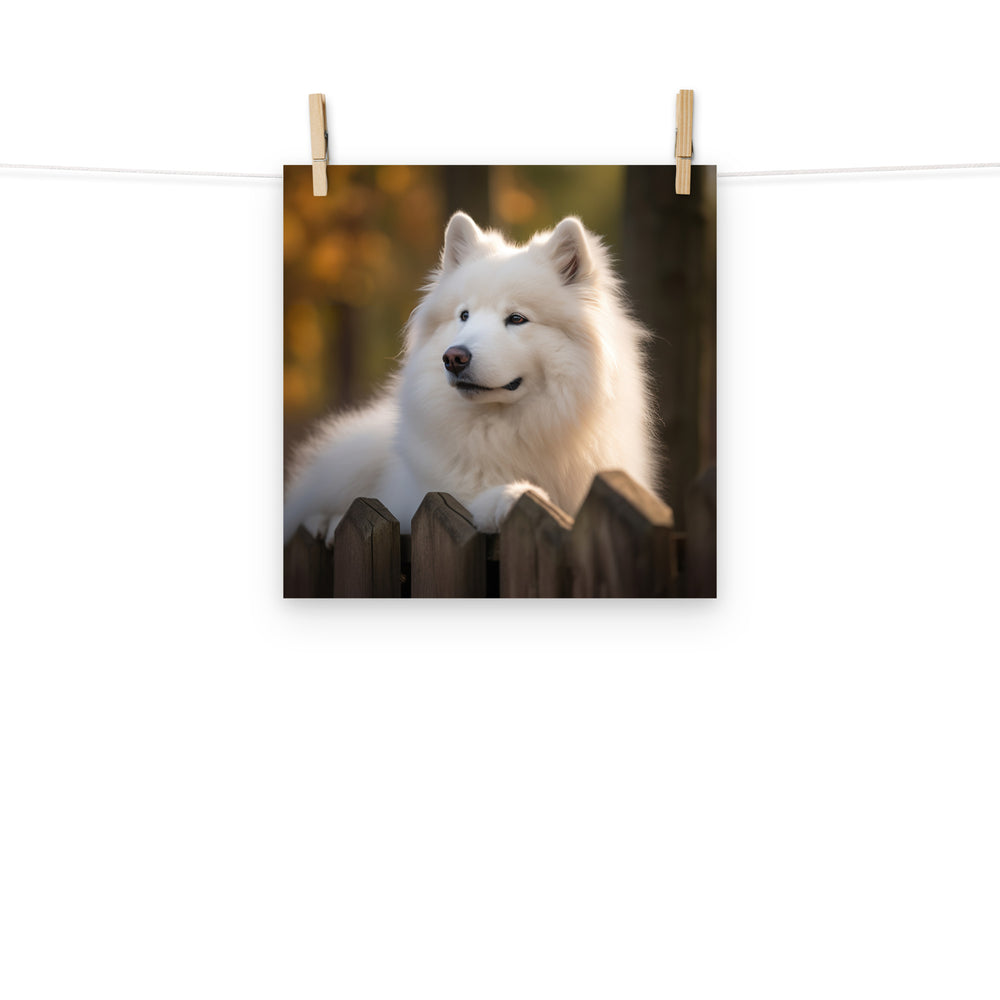 Samoyed Photo paper poster - PosterfyAI.com