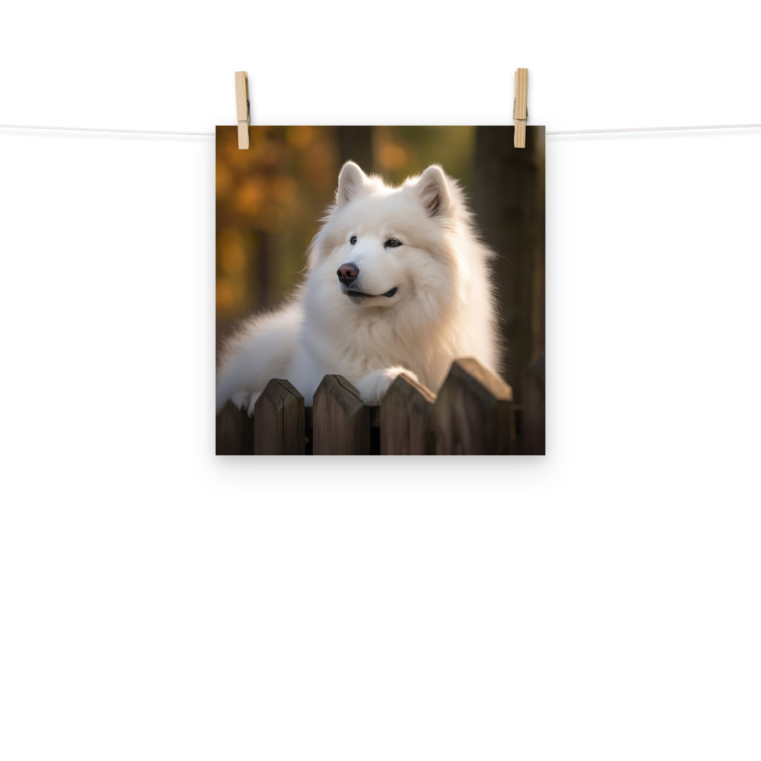 Samoyed Photo paper poster - PosterfyAI.com