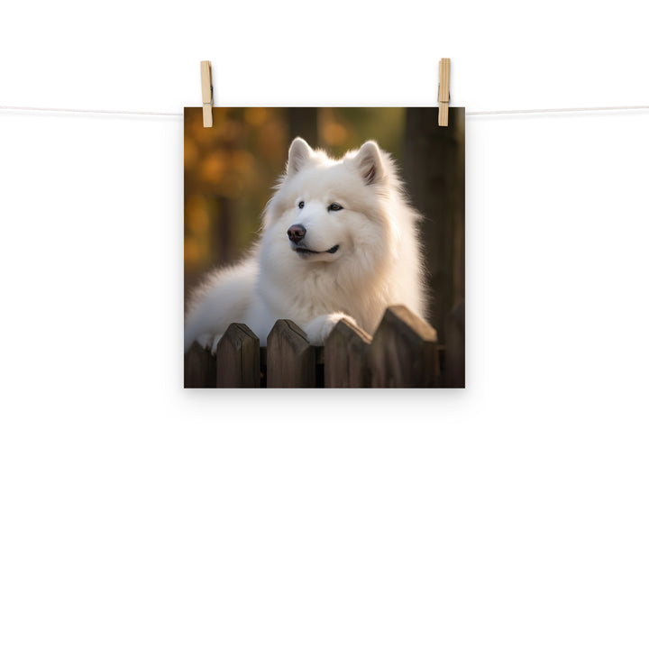 Samoyed Photo paper poster - PosterfyAI.com