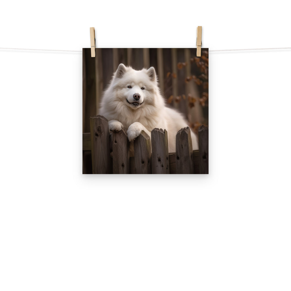 Samoyed Photo paper poster - PosterfyAI.com