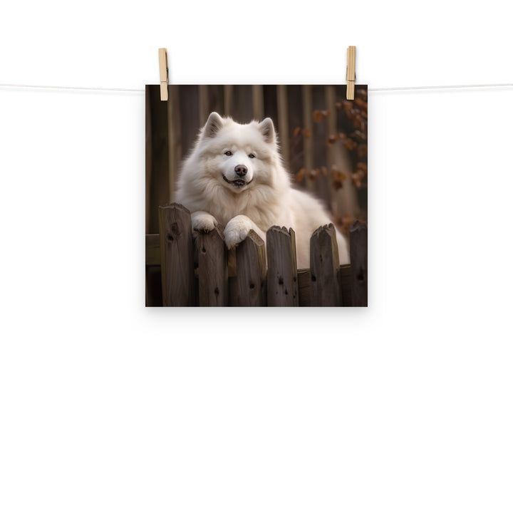 Samoyed Photo paper poster - PosterfyAI.com