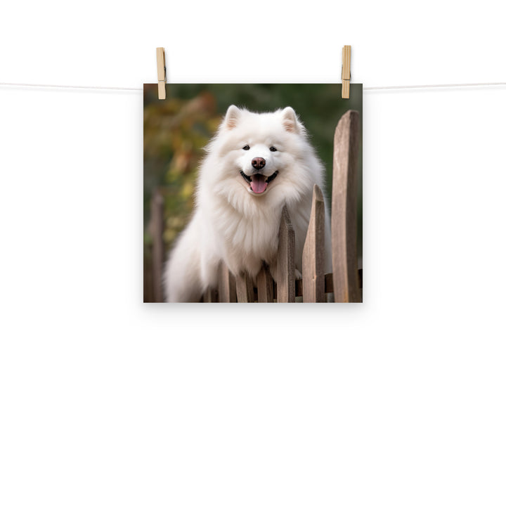 Samoyed Photo paper poster - PosterfyAI.com