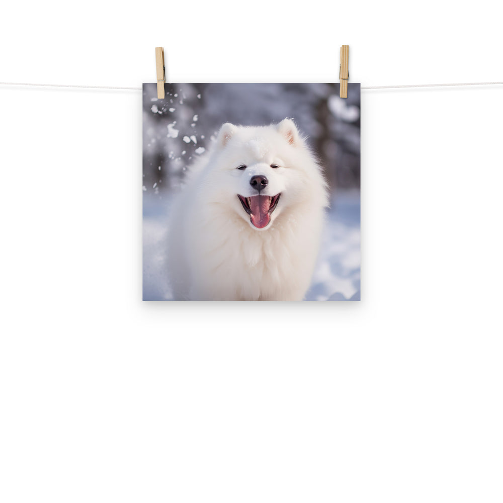 Samoyed Photo paper poster - PosterfyAI.com