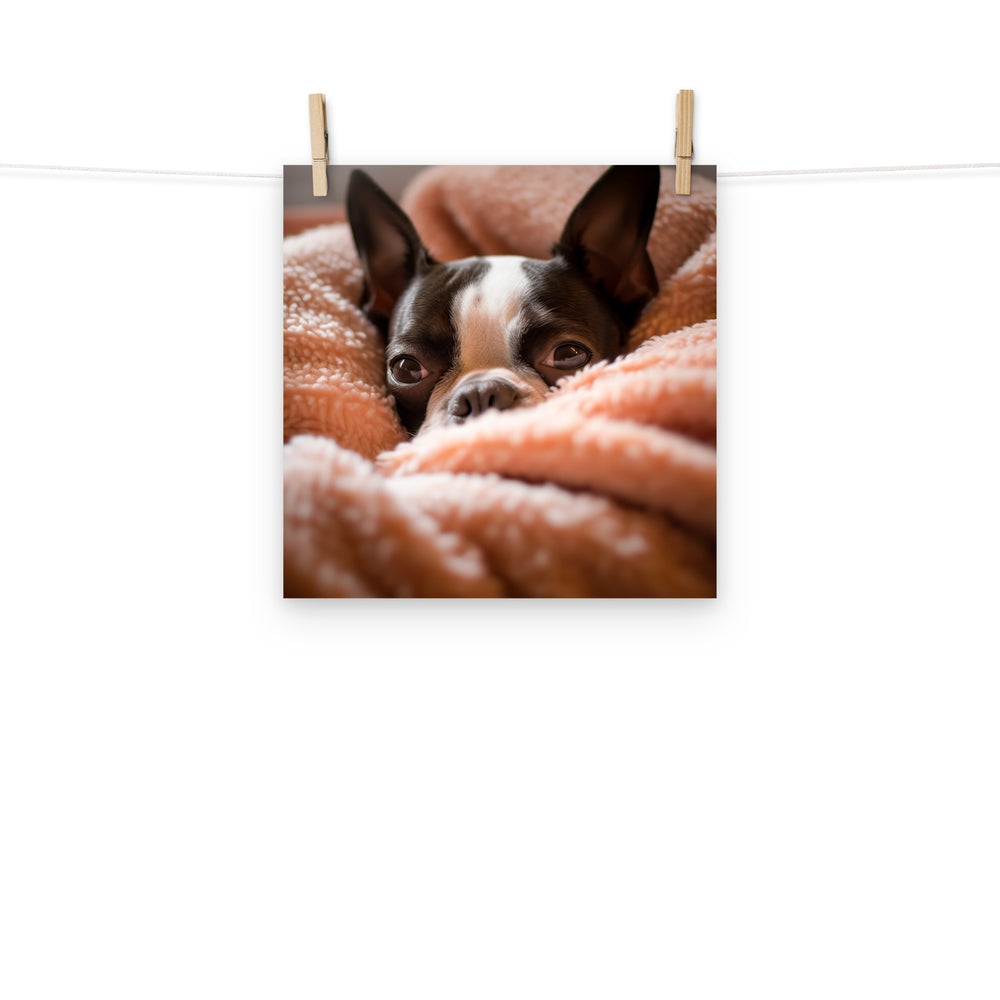 Boston Terrier Photo paper poster - PosterfyAI.com