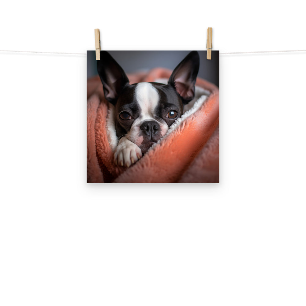 Boston Terrier Photo paper poster - PosterfyAI.com