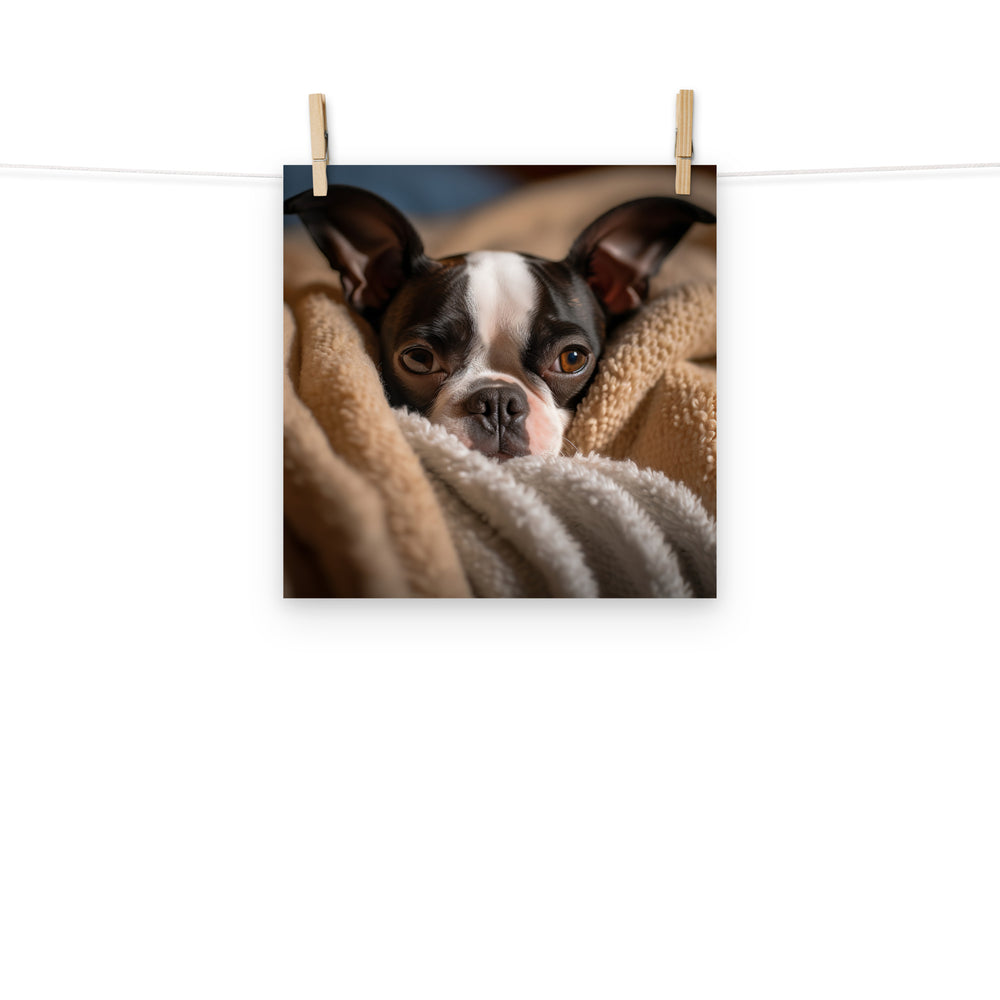 Boston Terrier Photo paper poster - PosterfyAI.com