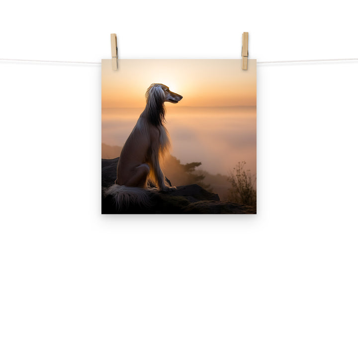 Afghan Hound Photo paper poster - PosterfyAI.com