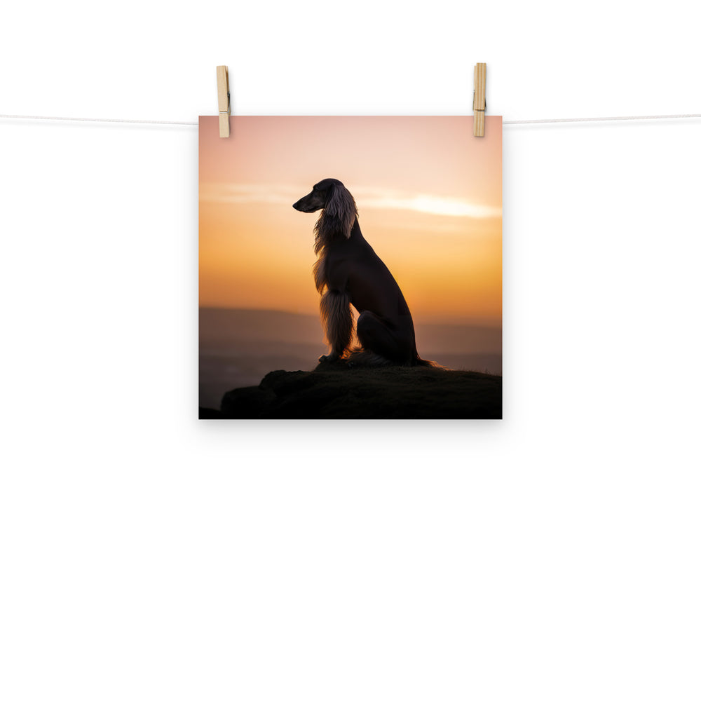 Afghan Hound Photo paper poster - PosterfyAI.com