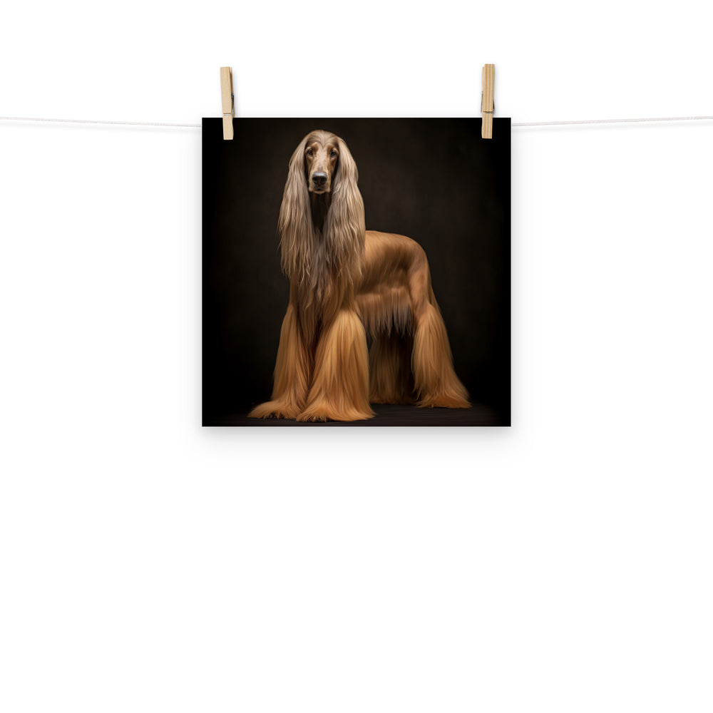 Afghan Hound Photo paper poster - PosterfyAI.com