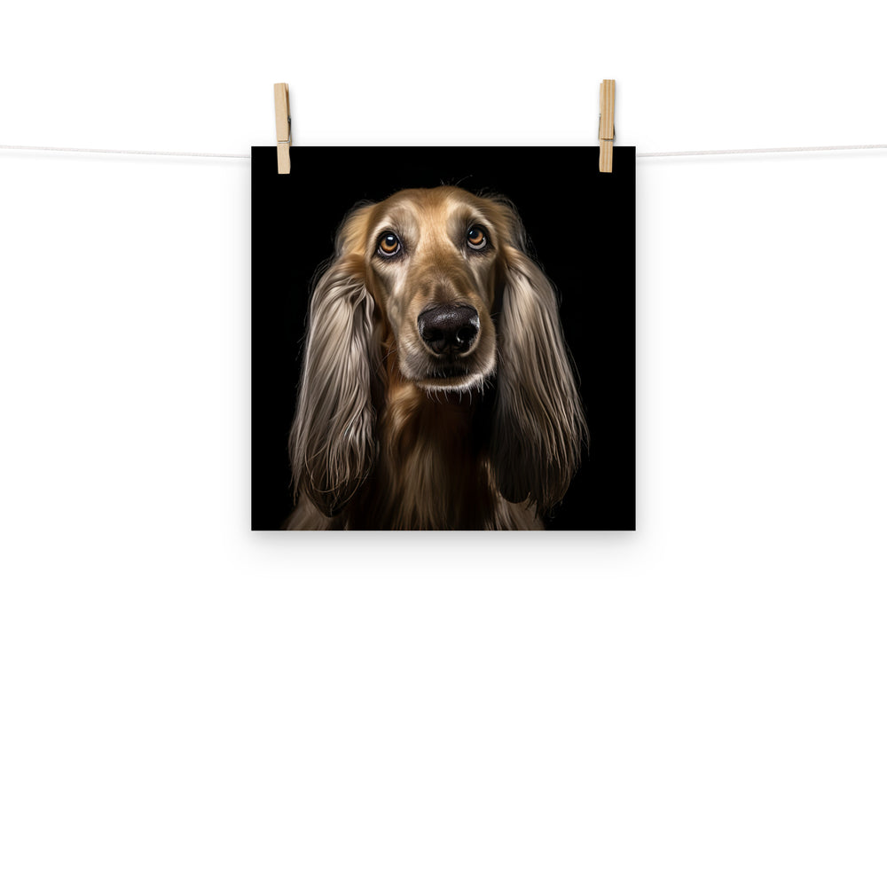 Afghan Hound Photo paper poster - PosterfyAI.com