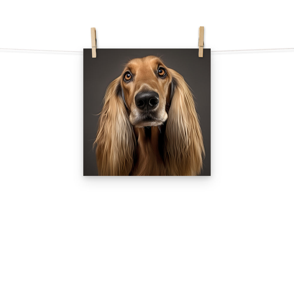 Afghan Hound Photo paper poster - PosterfyAI.com