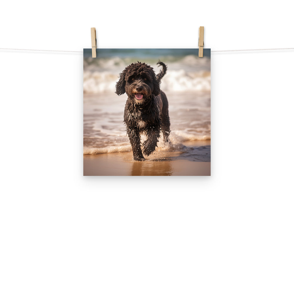 Portuguese Water Dog Photo paper poster - PosterfyAI.com