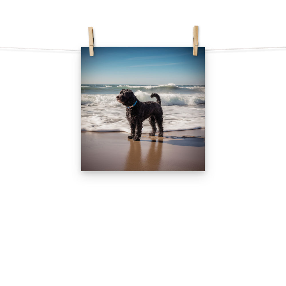 Portuguese Water Dog Photo paper poster - PosterfyAI.com