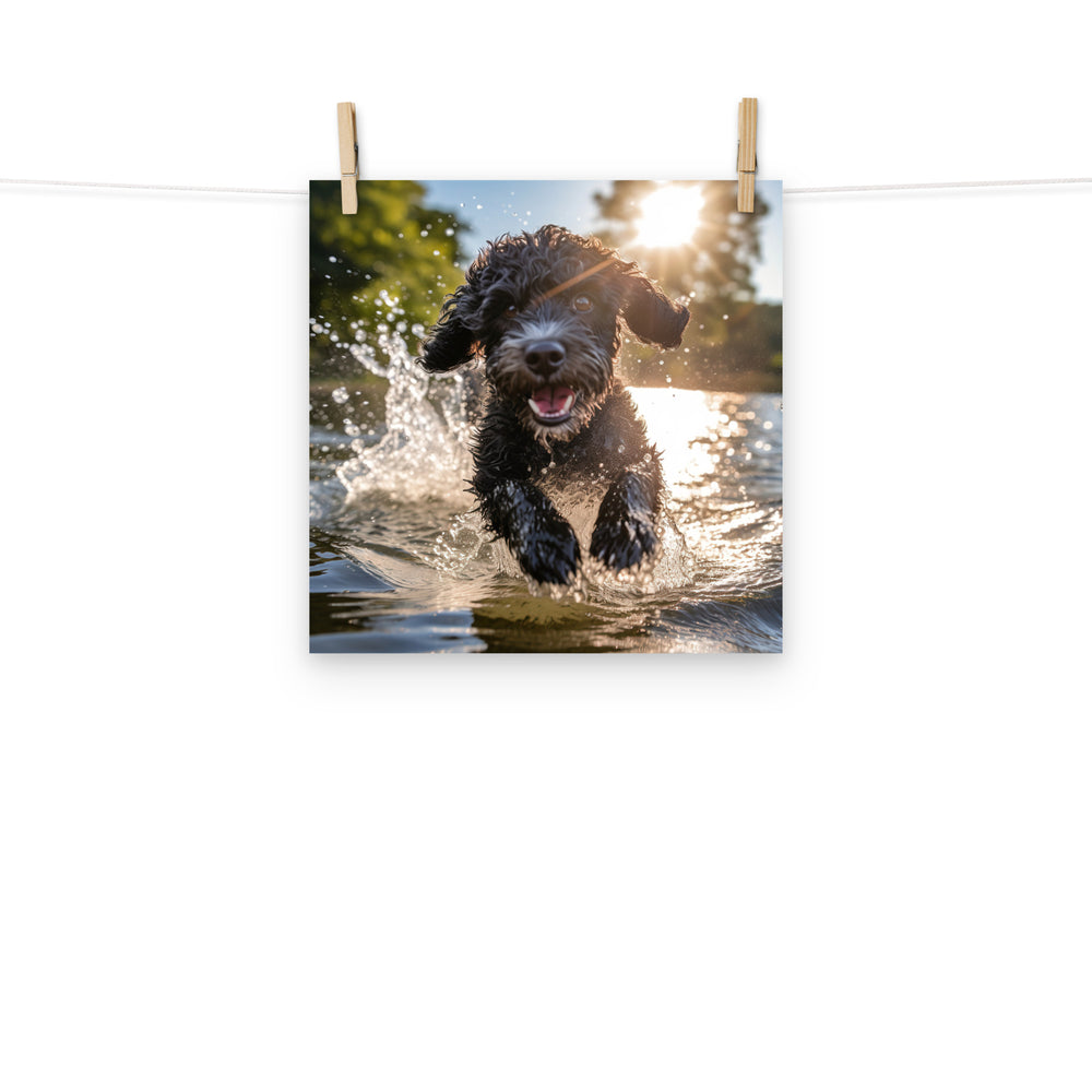 Portuguese Water Dog Photo paper poster - PosterfyAI.com