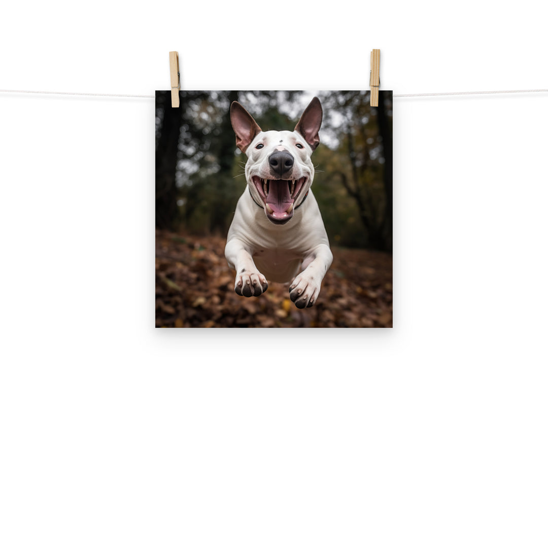 Bull Terrier Photo paper poster - PosterfyAI.com