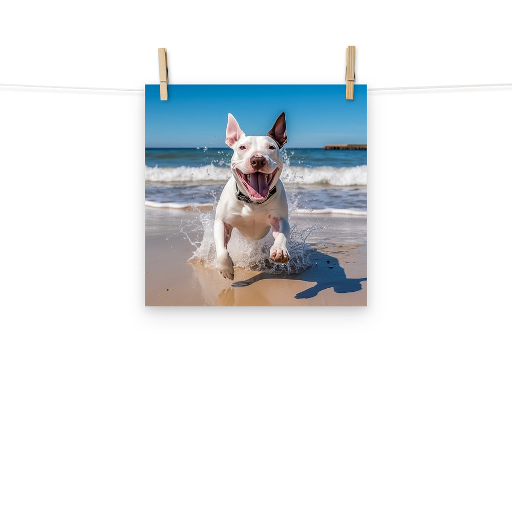 Bull Terrier Photo paper poster - PosterfyAI.com
