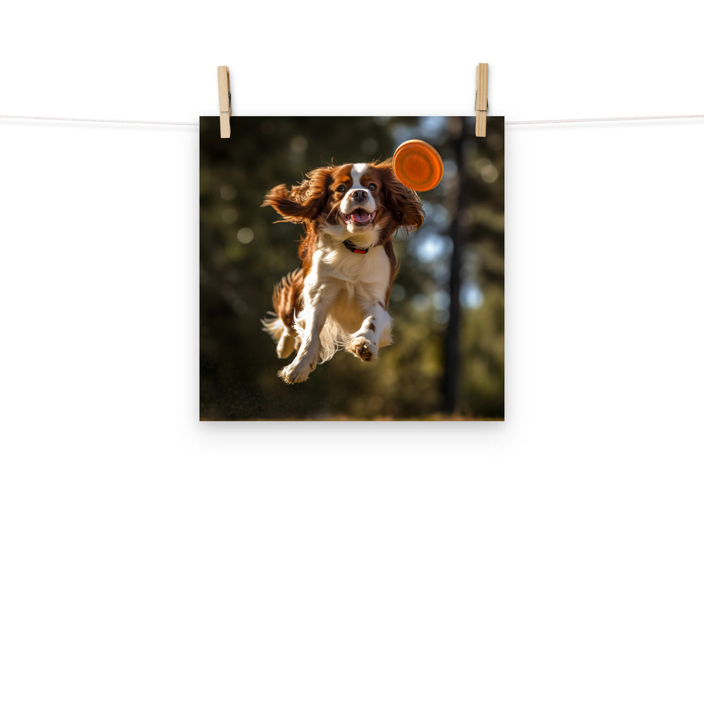 Cavalier King Charles Photo paper poster - PosterfyAI.com