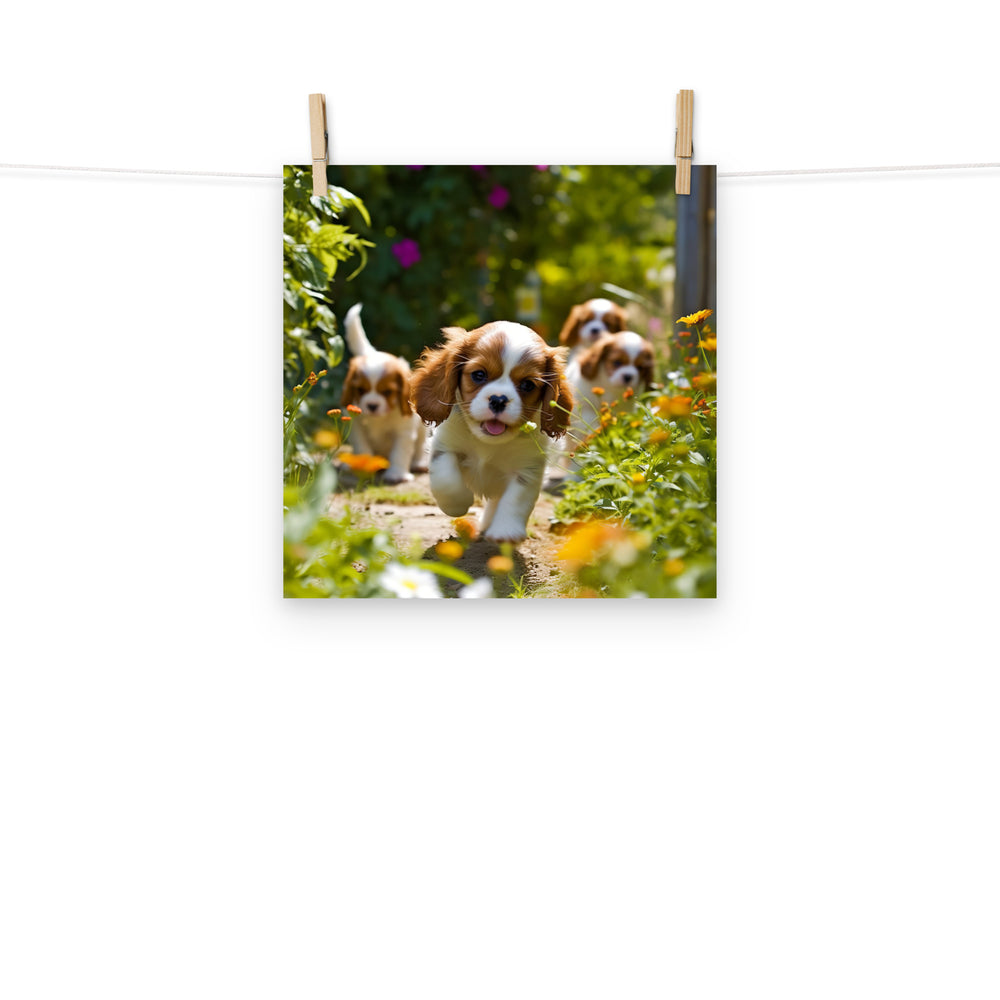 Cavalier King Charles Photo paper poster - PosterfyAI.com